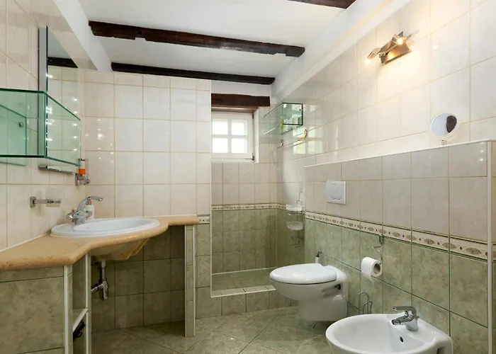 Vila Rustic Karim With Pool In Porec *