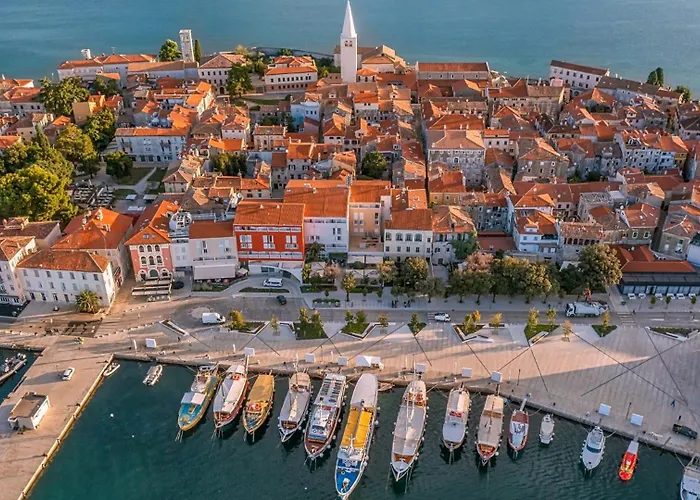 Vila Rustic Karim With Pool In Porec *