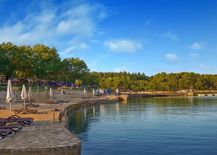 Vila Rustic Karim With Pool In Porec *